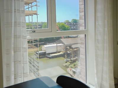 Picture 11